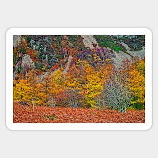 Autumn Colours Sticker